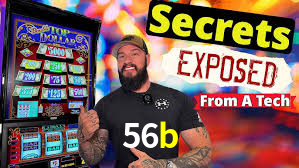 Explore as vantagens do 56b: serviço profissional e confiabilidade
